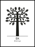 Poster: Ek, Blekinges landskapsblomma, av Paperago