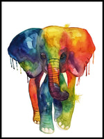 Poster: Elefant i akvarell, av Lindblom of Sweden