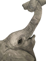 Poster: Elefant, av Utgångna produkter