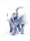Poster: Elephant, av Cora konst & illustration
