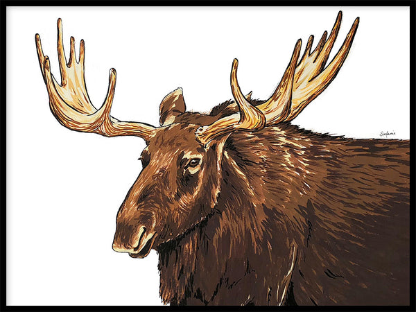 Poster: Elk, av Stefanie Jegerings