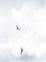 Poster: Fågelstorm 2, av Utgångna produkter