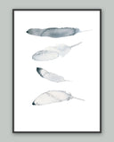 Poster: Feathers, av Toril Bækmark