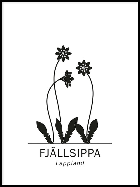 Poster: Fjällsippa, Lapplands landskapsblomma, av Paperago