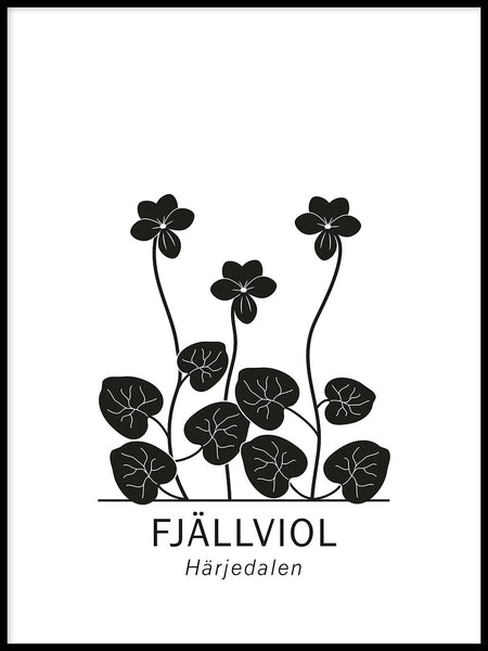 Poster: Fjällviol, Härjedalens landskapsblomma, av Paperago