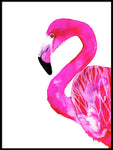 Poster: Flamingo, av Sofie Rolfsdotter