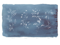 Poster: Flora Blue, av susanneform