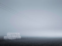 Poster: Fog I, av Patrik Larsson