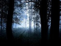 Poster: Forest I, av Patrik Larsson