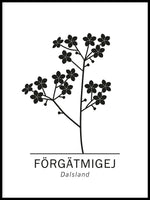 Poster: Förgätmigej, Dalslands landskapsblomma, av Paperago
