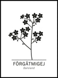 Poster: Förgätmigej, Dalslands landskapsblomma, av Paperago