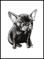 Poster: French Bulldog, av Tvinkla