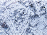 Poster: Frostfönster, av EMELIEmaria