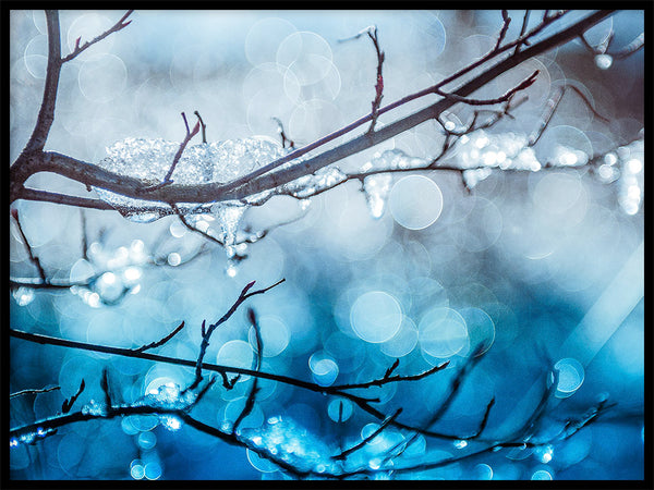Poster: Frostpärlor, av Fotograf Ulrica