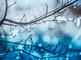 Poster: Frostpärlor, av Fotograf Ulrica