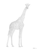 Poster: Giraff, av Utgångna produkter