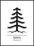 Poster: Gran, Medelpads landskapsblomma, av Paperago
