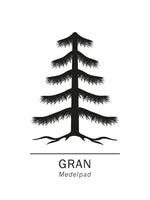 Poster: Gran, Medelpads landskapsblomma, av Paperago