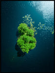 Poster: Green Island, av Patrik Larsson