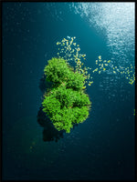 Poster: Green Island, av Patrik Larsson