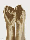Poster: Guldhänder, av Utgångna produkter