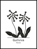 Poster: Gullviva, Närkes landskapsblomma, av Paperago