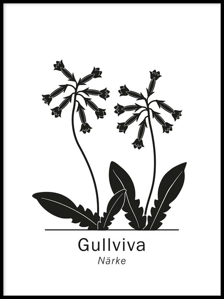 Poster: Gullviva, Närkes landskapsblomma, av Paperago