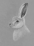 Poster: Hare, av Fröken Fräken Form