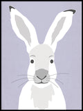 Poster: Hare, av Utgångna produkter