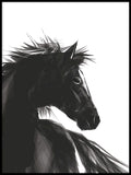 Poster: Horse, av ANNABOYE
