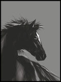 Poster: Horse, grey, av ANNABOYE