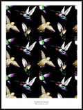Poster: Hummingbirds, av Ekkoform illustrations