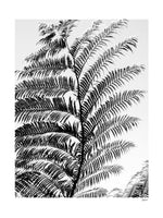 Poster: Iriomote leaf, av Caro-lines