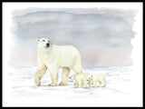 Poster: Isbjörnar, av Lisa Hult Sandgren