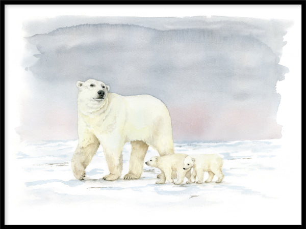 Poster: Isbjörnar, av Lisa Hult Sandgren