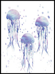Poster: Jellyfish 4, av Paperago