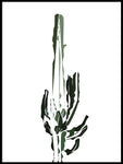Poster: Kaktus, av LIWE