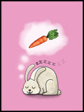 Poster: Kanin, av Utgångna produkter