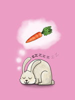 Poster: Kanin, av Utgångna produkter
