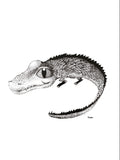 Poster: Krokodil, av Tvinkla