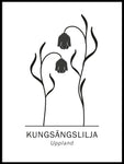 Poster: Kungsängslilja, Upplands landskapsblomma, av Paperago