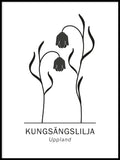 Poster: Kungsängslilja, Upplands landskapsblomma, av Paperago