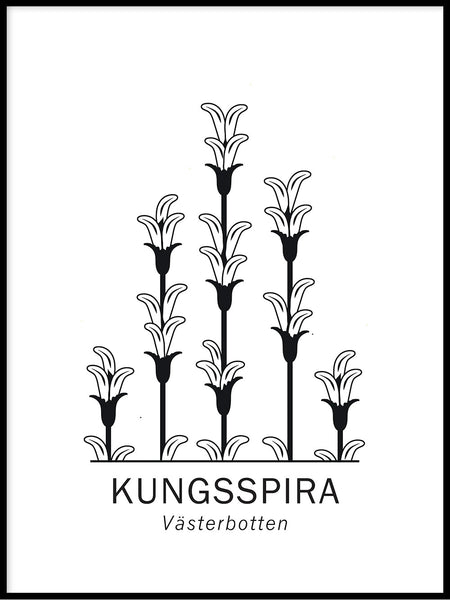 Poster: Kungsspira, Västerbottens landskapsblomma, av Paperago