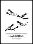 Poster: Lavskrika norrbottens landskapsdjur, av Paperago