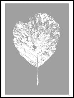 Poster: Leaf, av Utgångna produkter