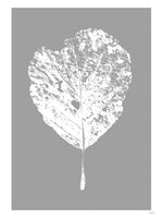 Poster: Leaf, av Utgångna produkter