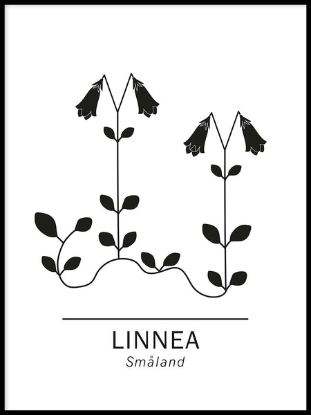 Poster: Linnea, Smålands landskapsblomma, av Paperago
