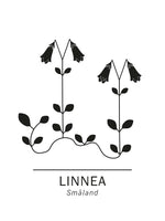 Poster: Linnea, Smålands landskapsblomma, av Paperago