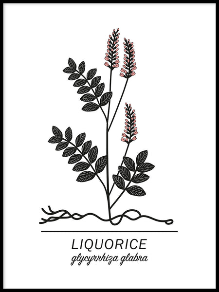 Poster: Liquorice, av Paperago