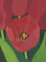 Poster: Liten röd tulpan, av Yvonnes galleri